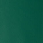 Green Ray | Laguna