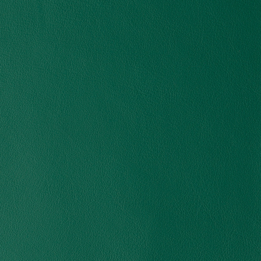 Green Ray | Laguna