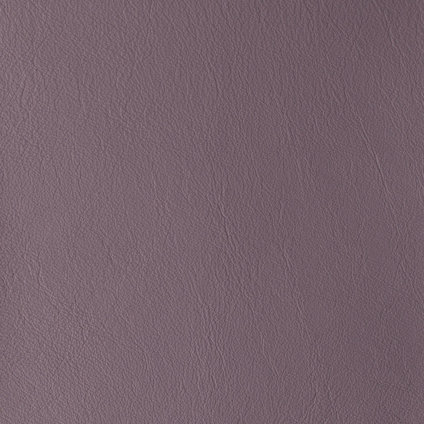 Lavanda | Laguna