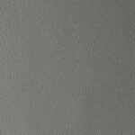 Plaster | Laguna