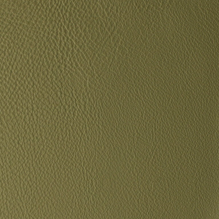 Moss