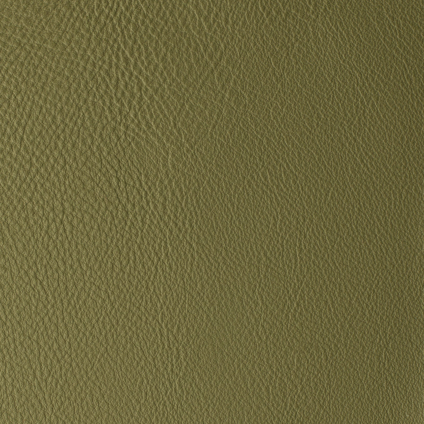 Moss | Laguna