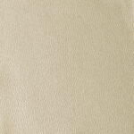 Beige | Las Vegas