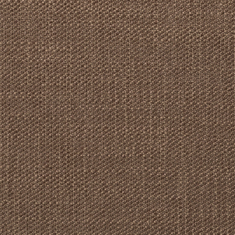 Camel 10