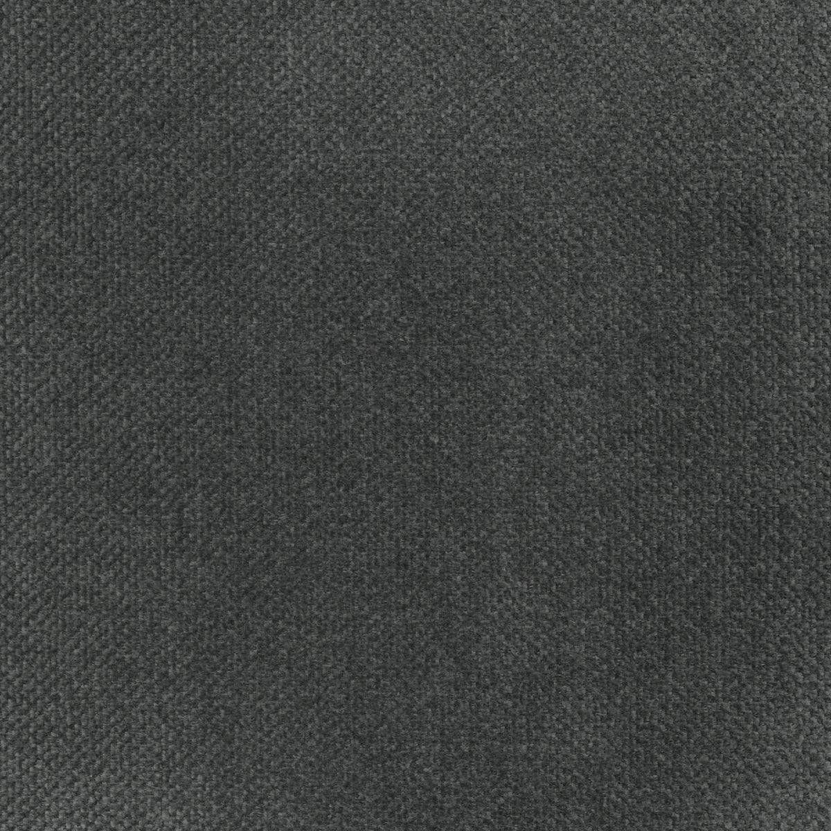Anthracite | Lotus
