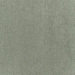 Bamboo | Lotus
