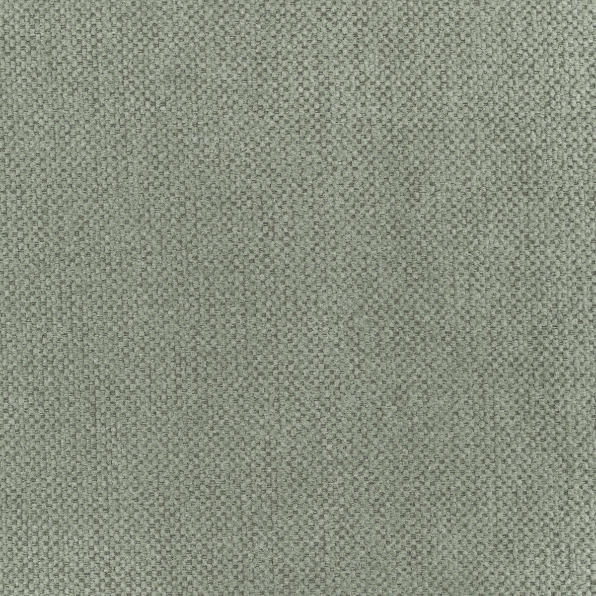 Bamboo | Lotus