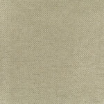 Beige | Lotus