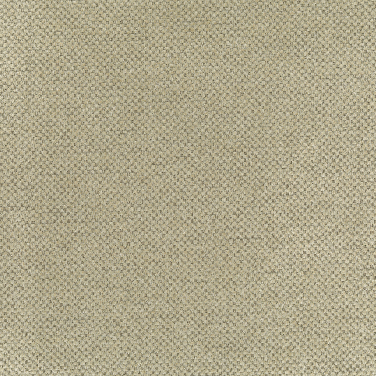 Beige | Lotus