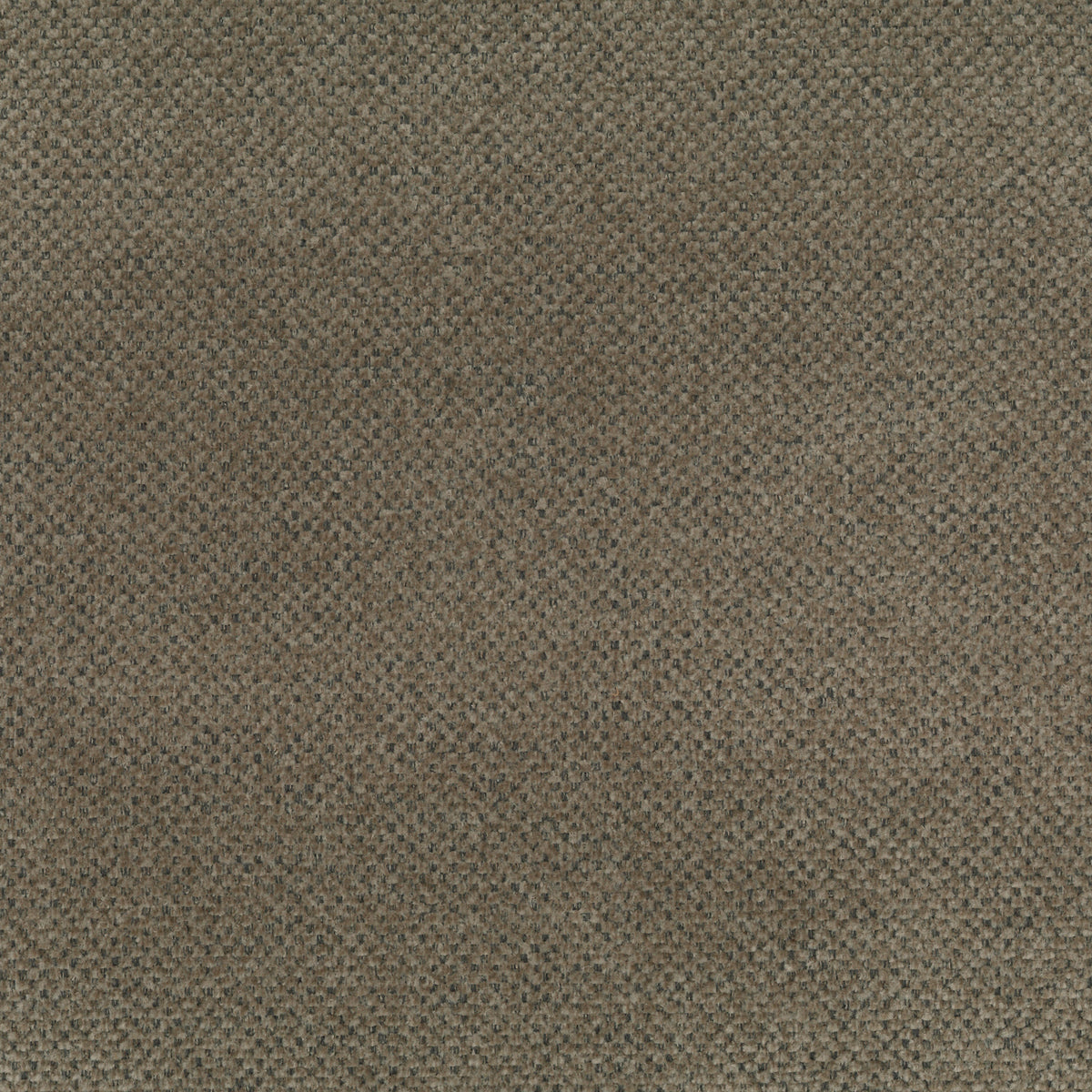 Brown | Lotus