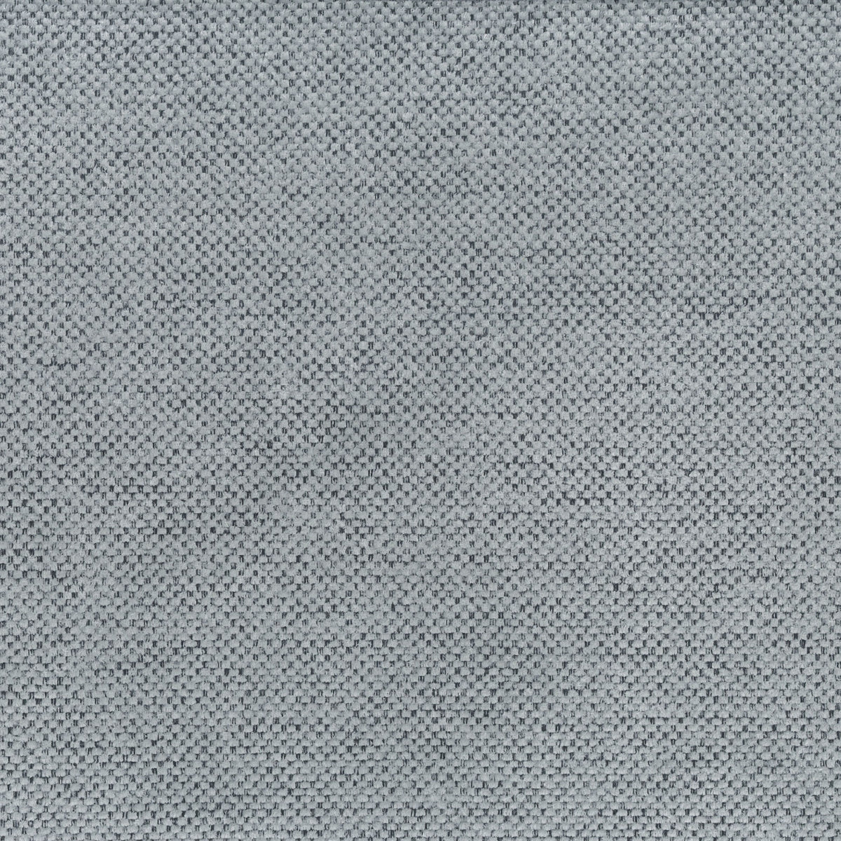 Silver | Lotus