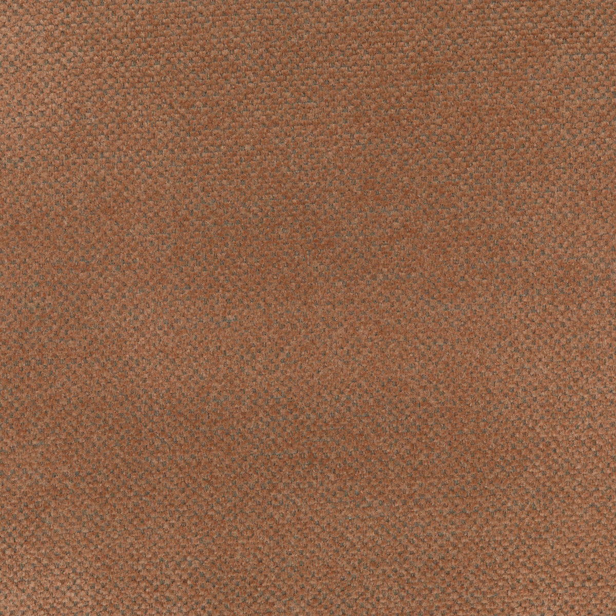 Terracotta | Lotus