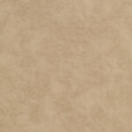 Camel | Logan