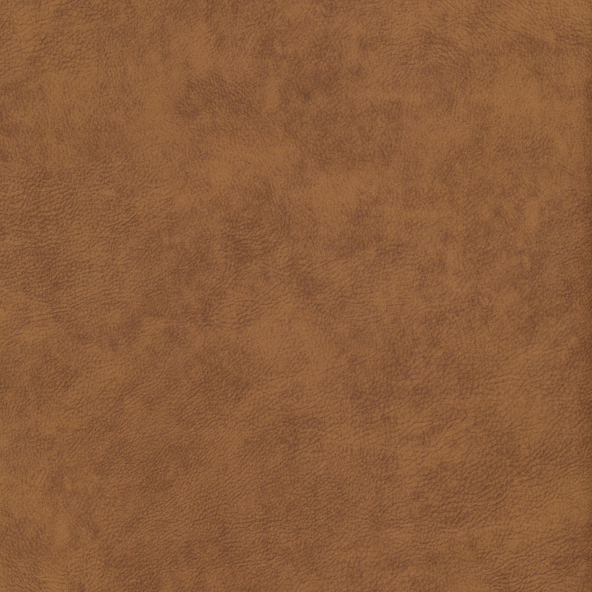 Cognac | Logan