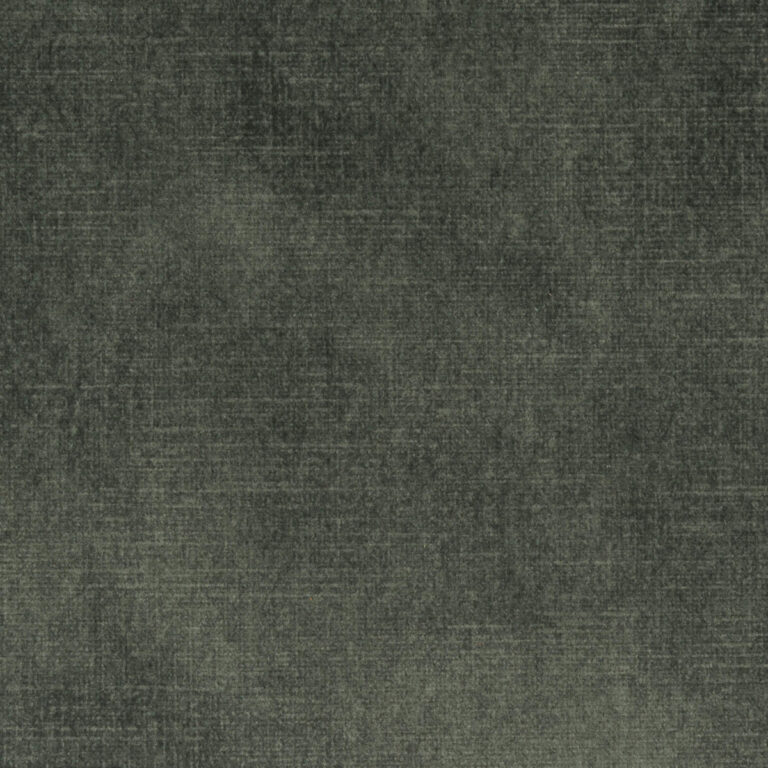 Forest 11