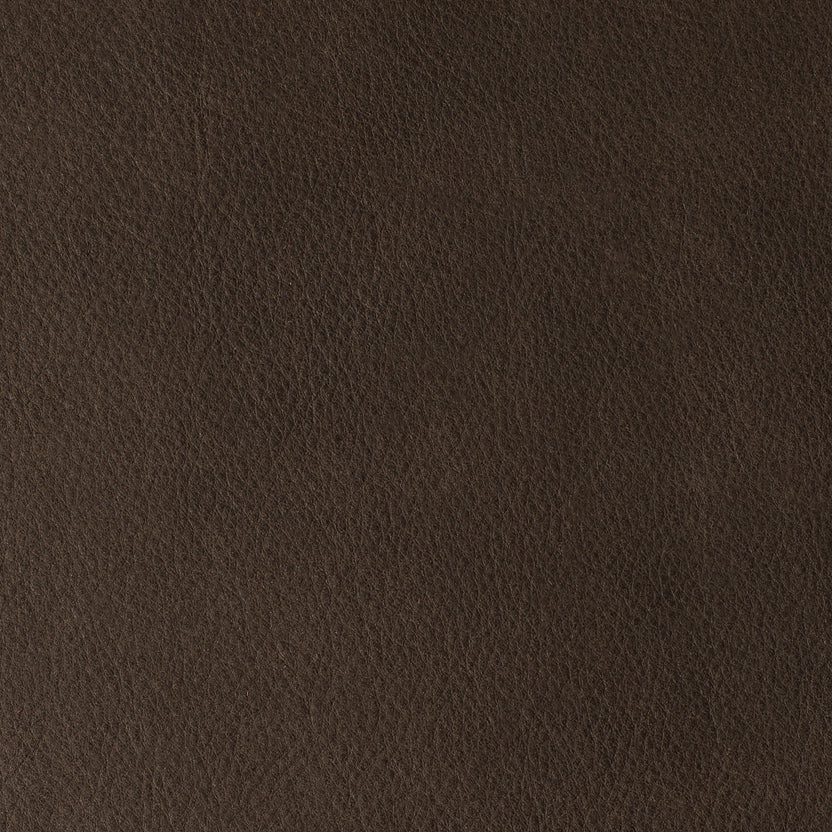 Chestnut | Manaus