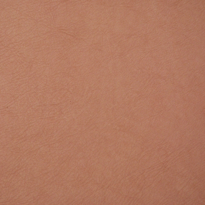 Nude | Manaus