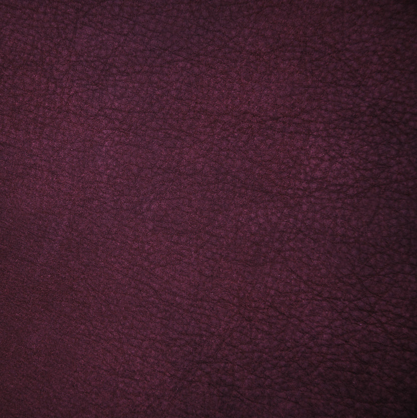 Violet | Manaus