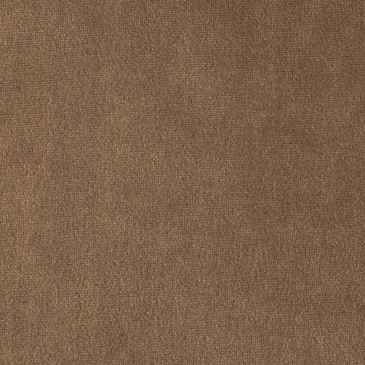 Brown | Milano