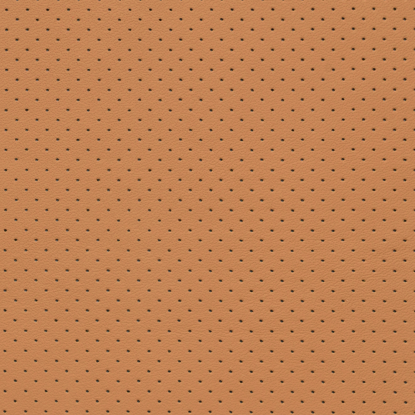 Camel | Silverstone Perforated