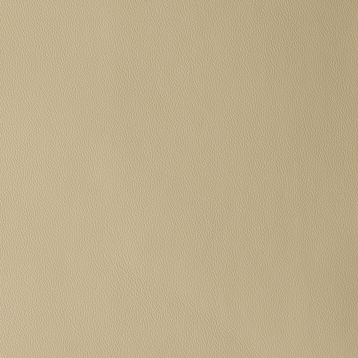 Cream | Monaco