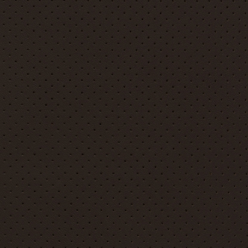 Ebony | Monaco Perforated