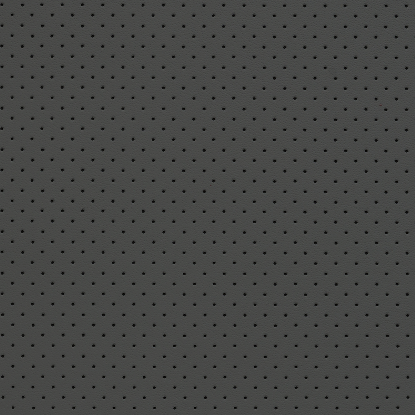 Graphite | Monaco Perforated