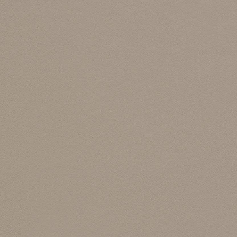 Ivory | Monaco