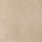 Beige | Mozart
