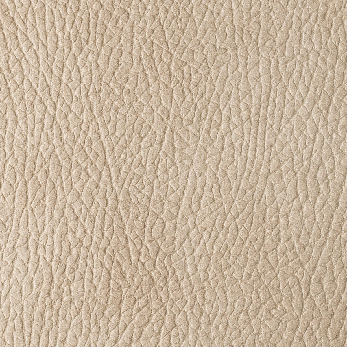 Beige | Mozart