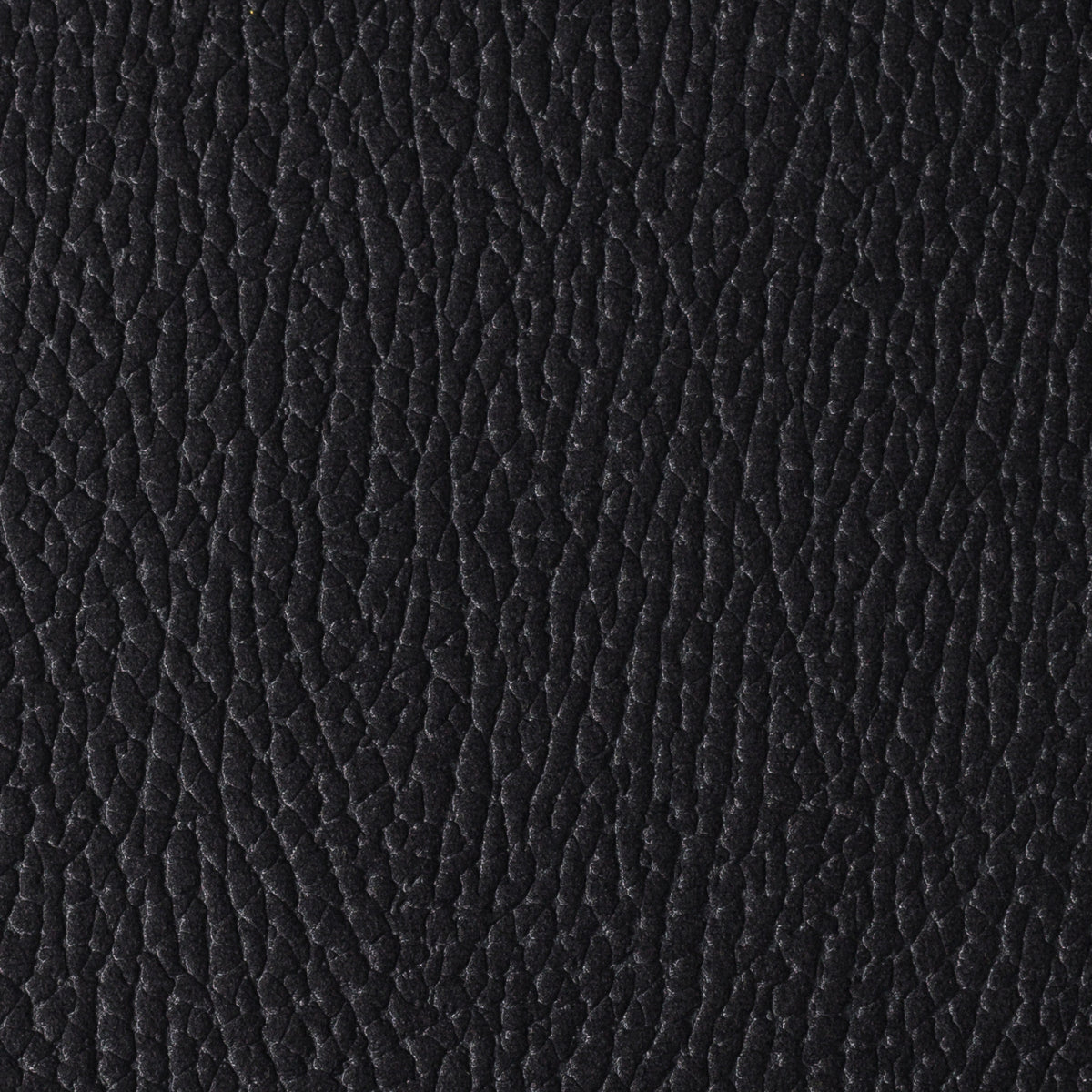 Dark Black | Mozart