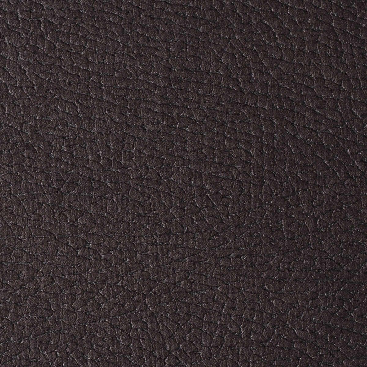 Dark Brown | Mozart