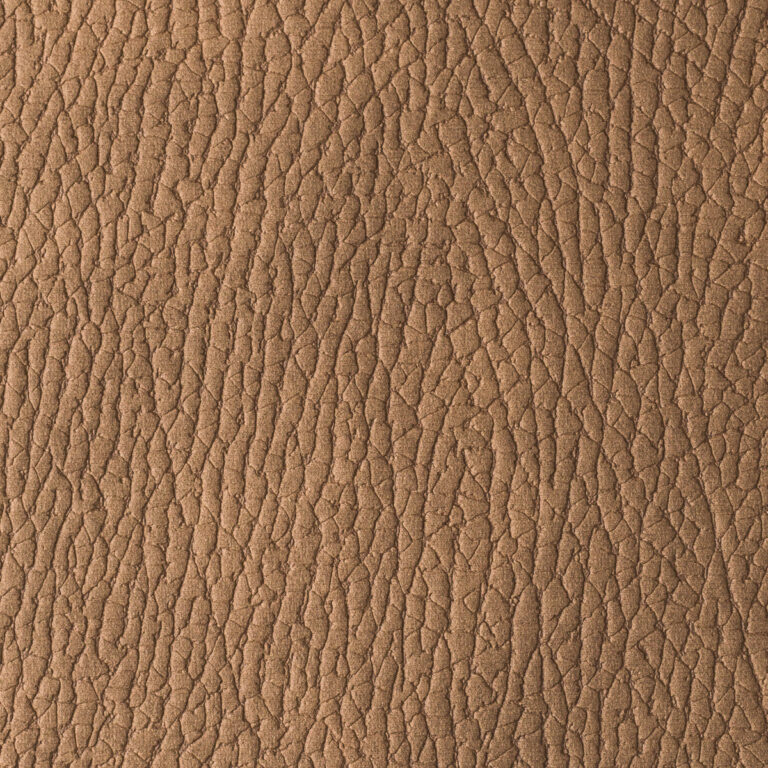 Dark Camel