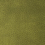 Green | Mozart