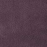 Purple | Mozart