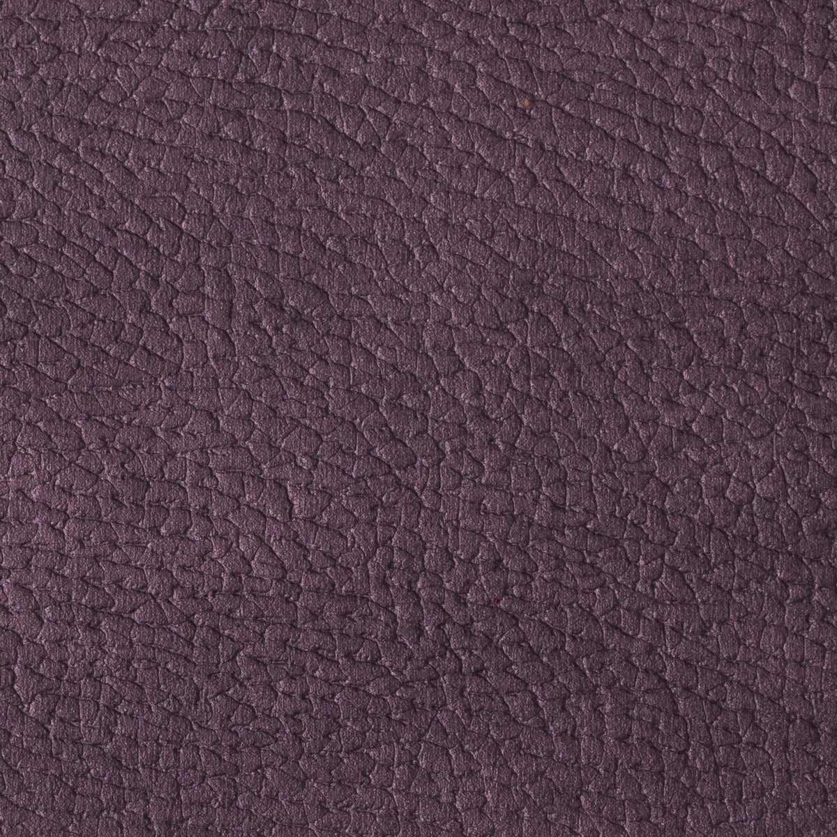 Purple | Mozart