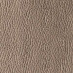 Taupe | Mozart