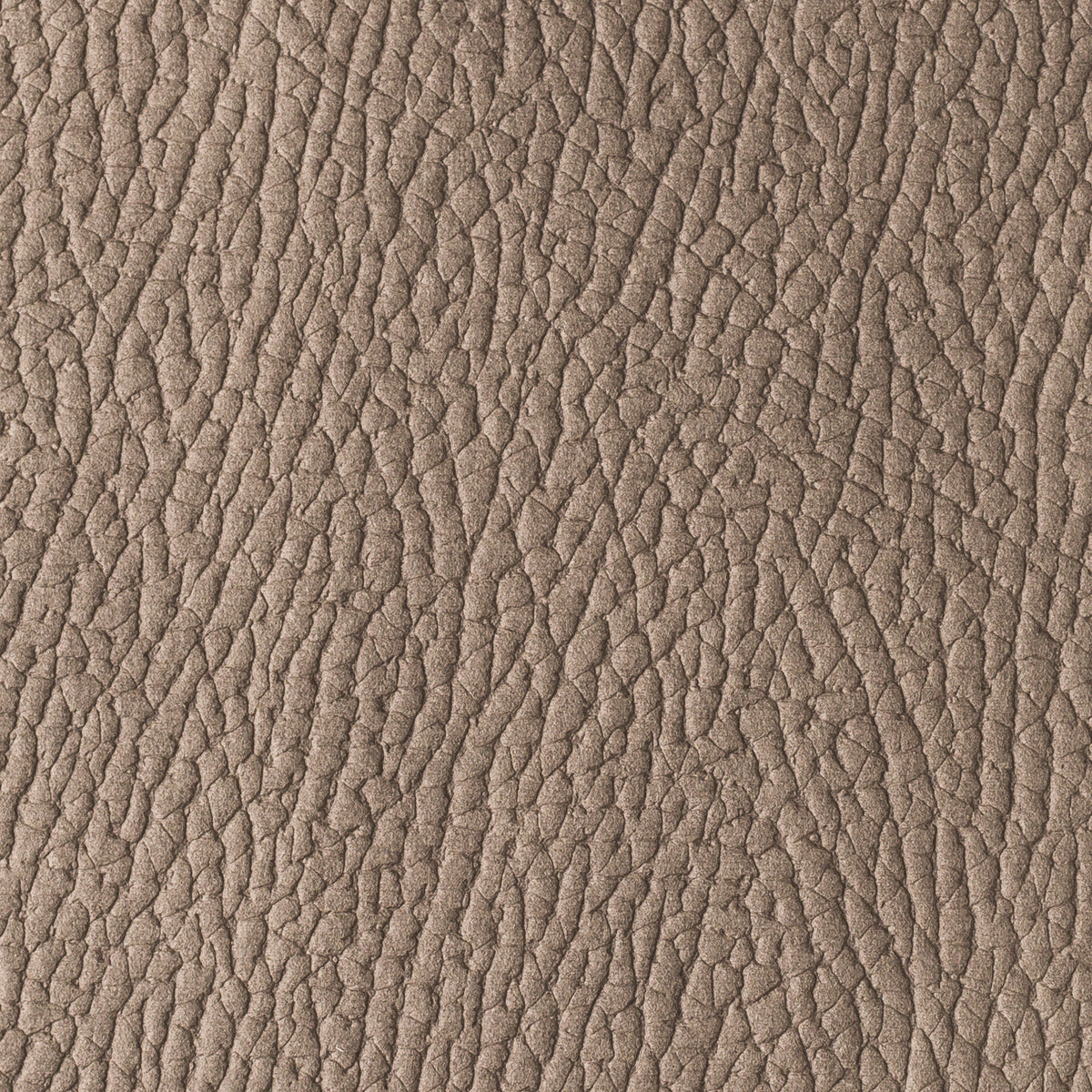 Taupe | Mozart