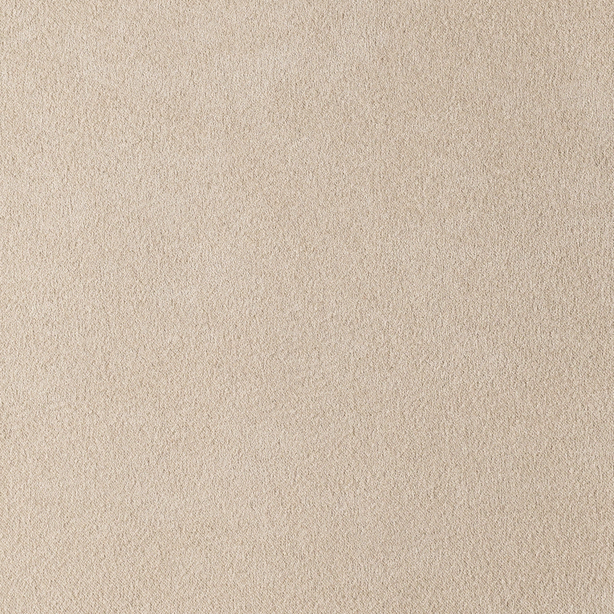 Cream | Munich Suede