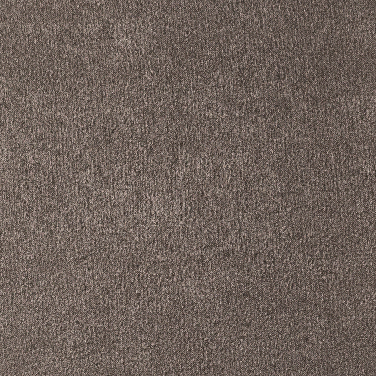Elephant | Munich Suede