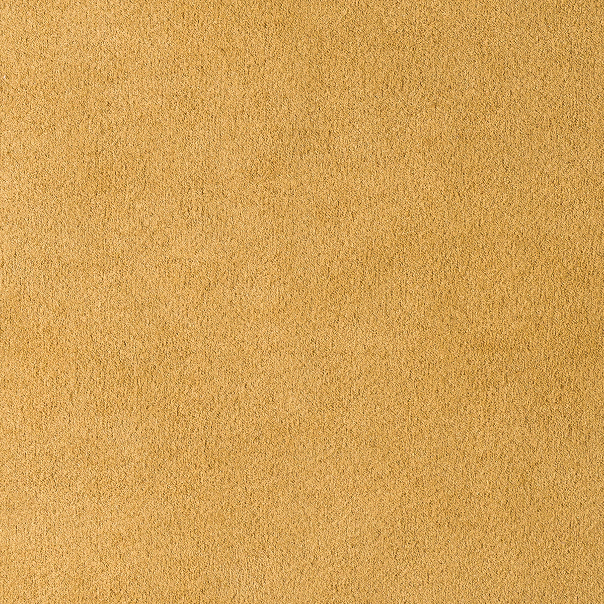 Mostaza | Munich Suede