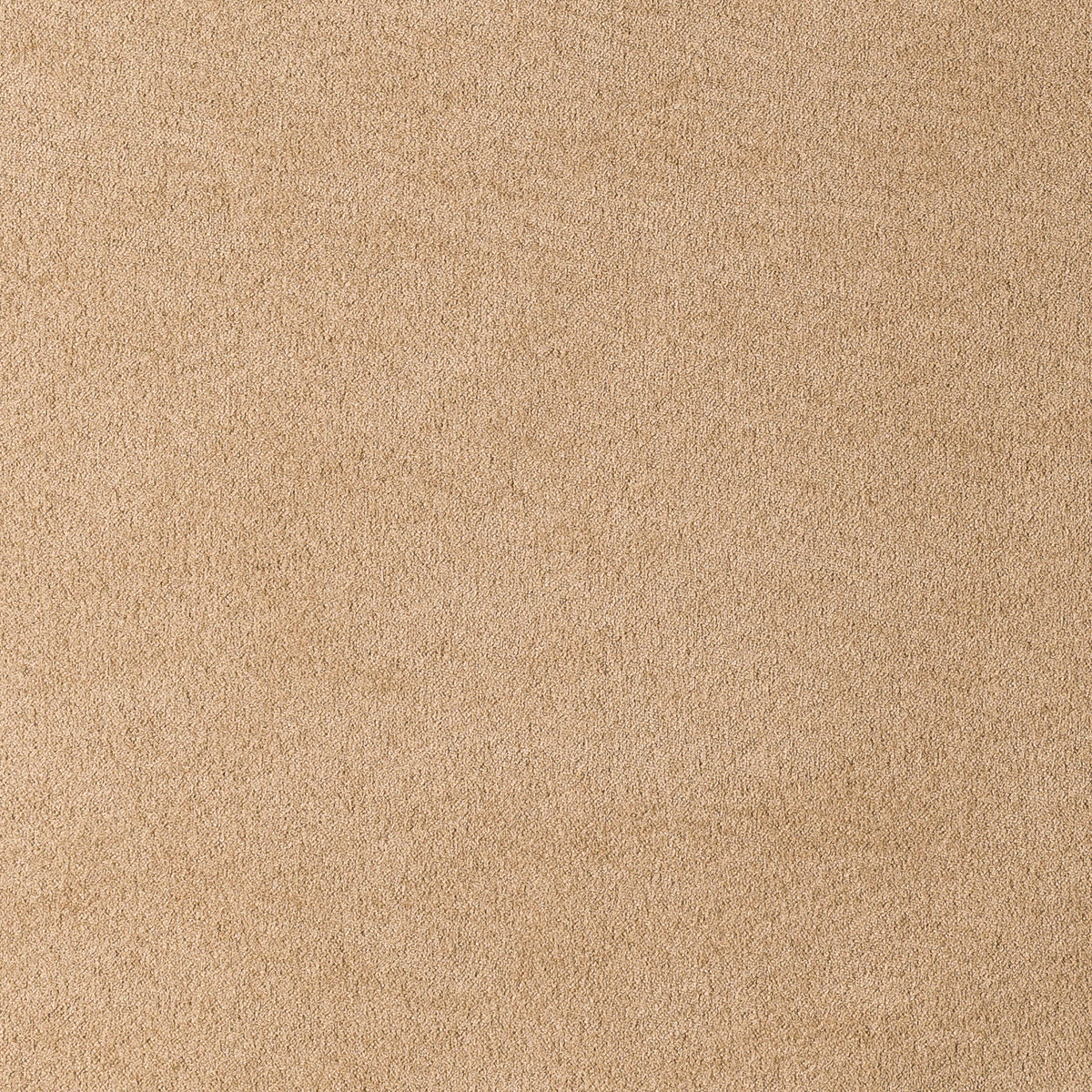 Trufa | Munich Suede