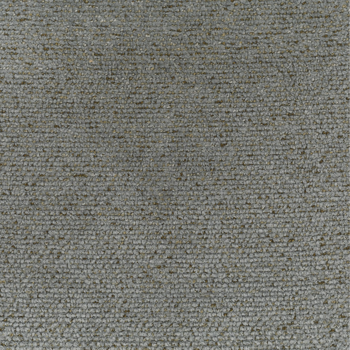 Mouse | Venus