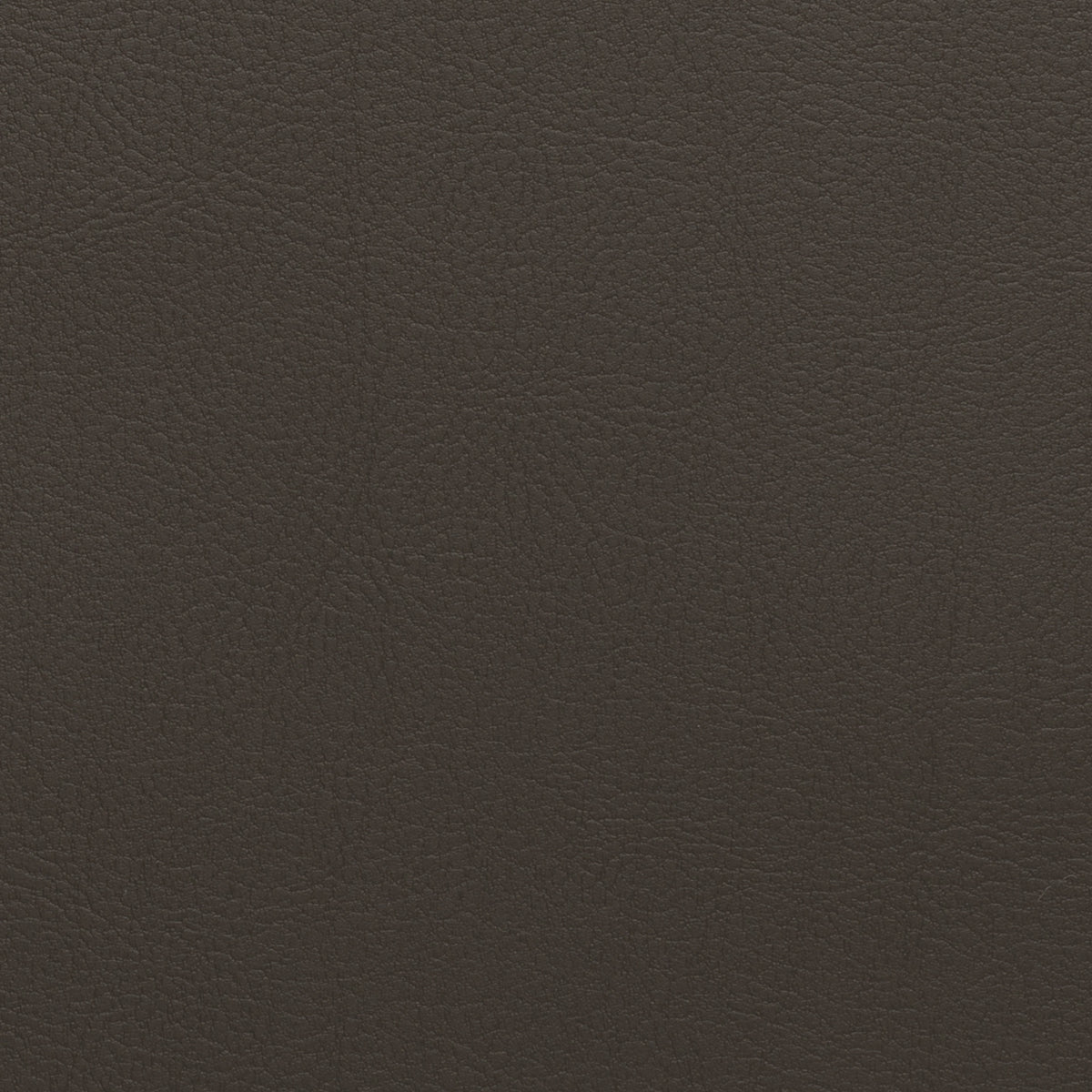Graphite | Nappatech