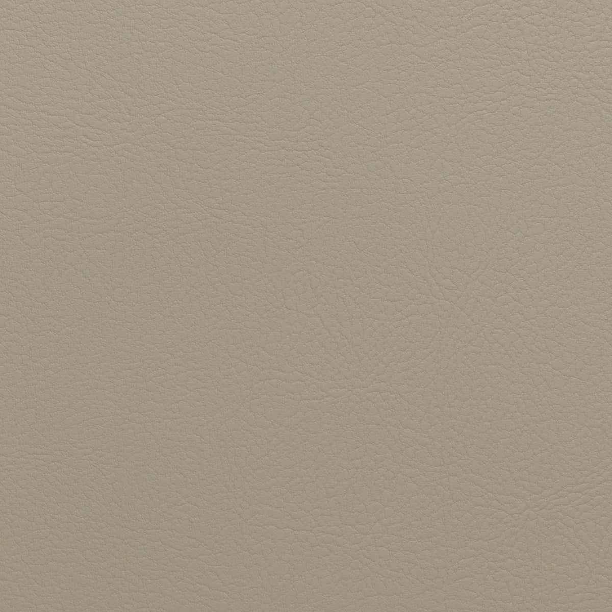 Ivory | Nappatech