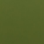 Olive | Nappatech