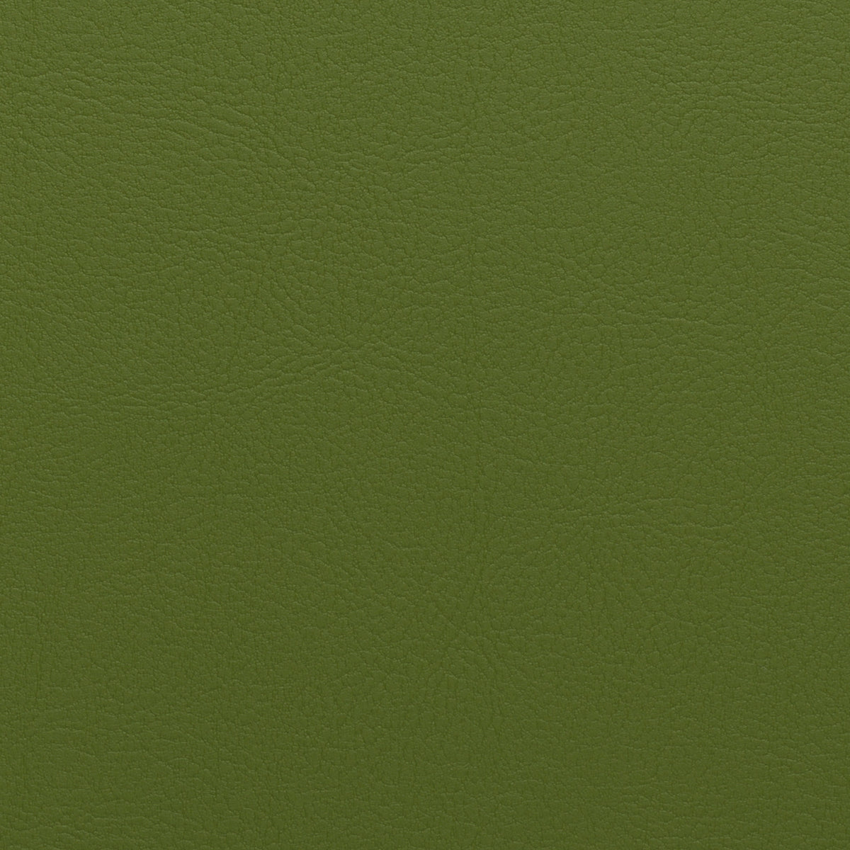 Olive | Nappatech