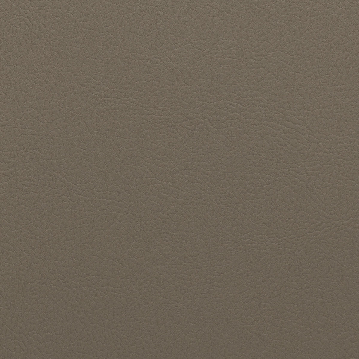 Taupe | Nappatech