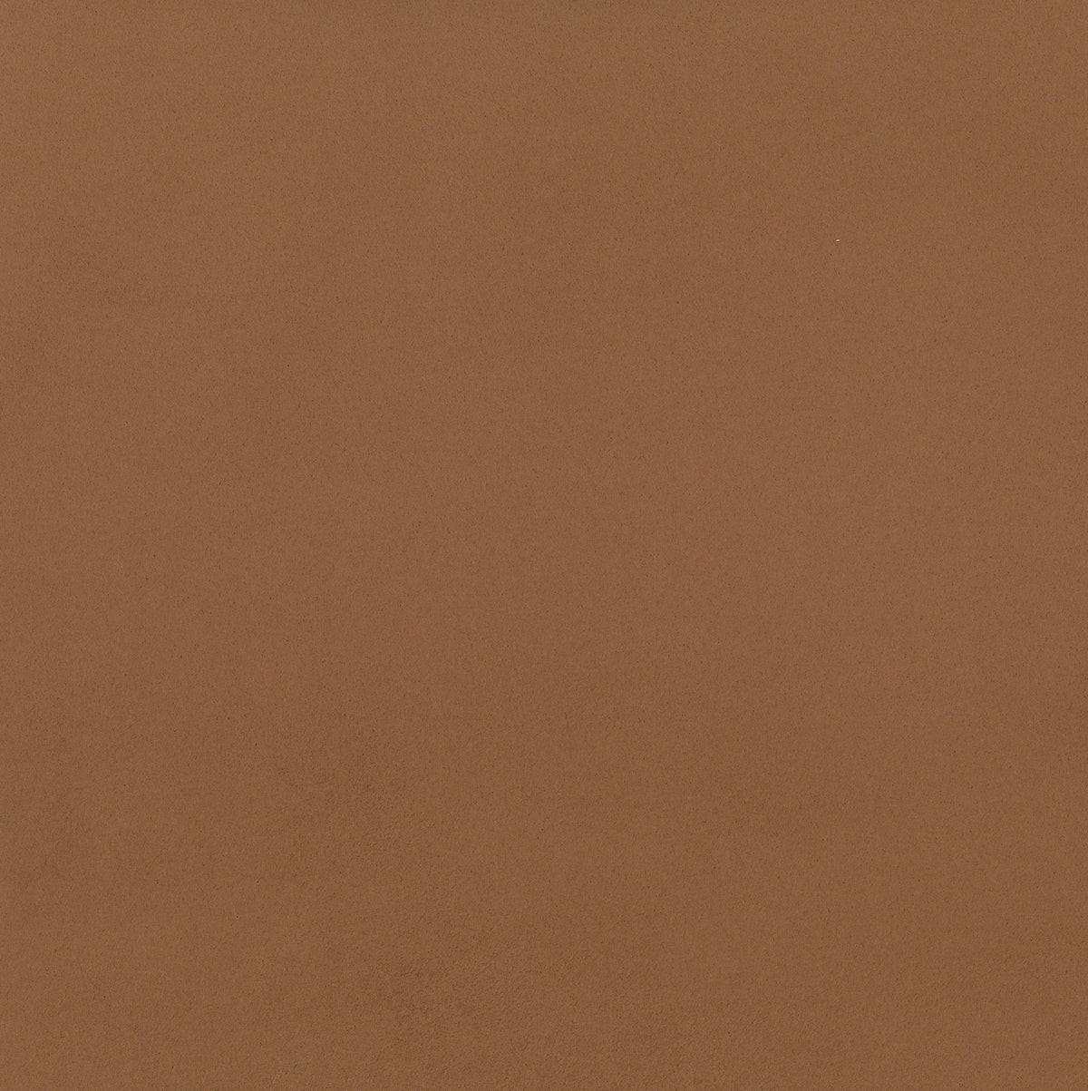Camel | Neosuede