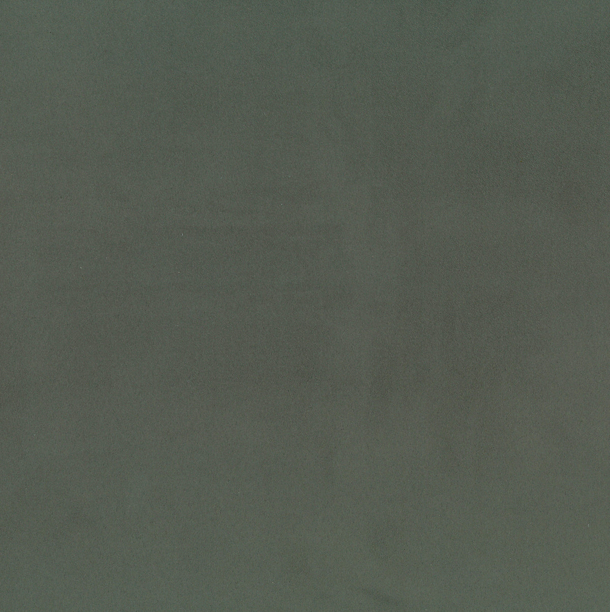 Forest | Neosuede